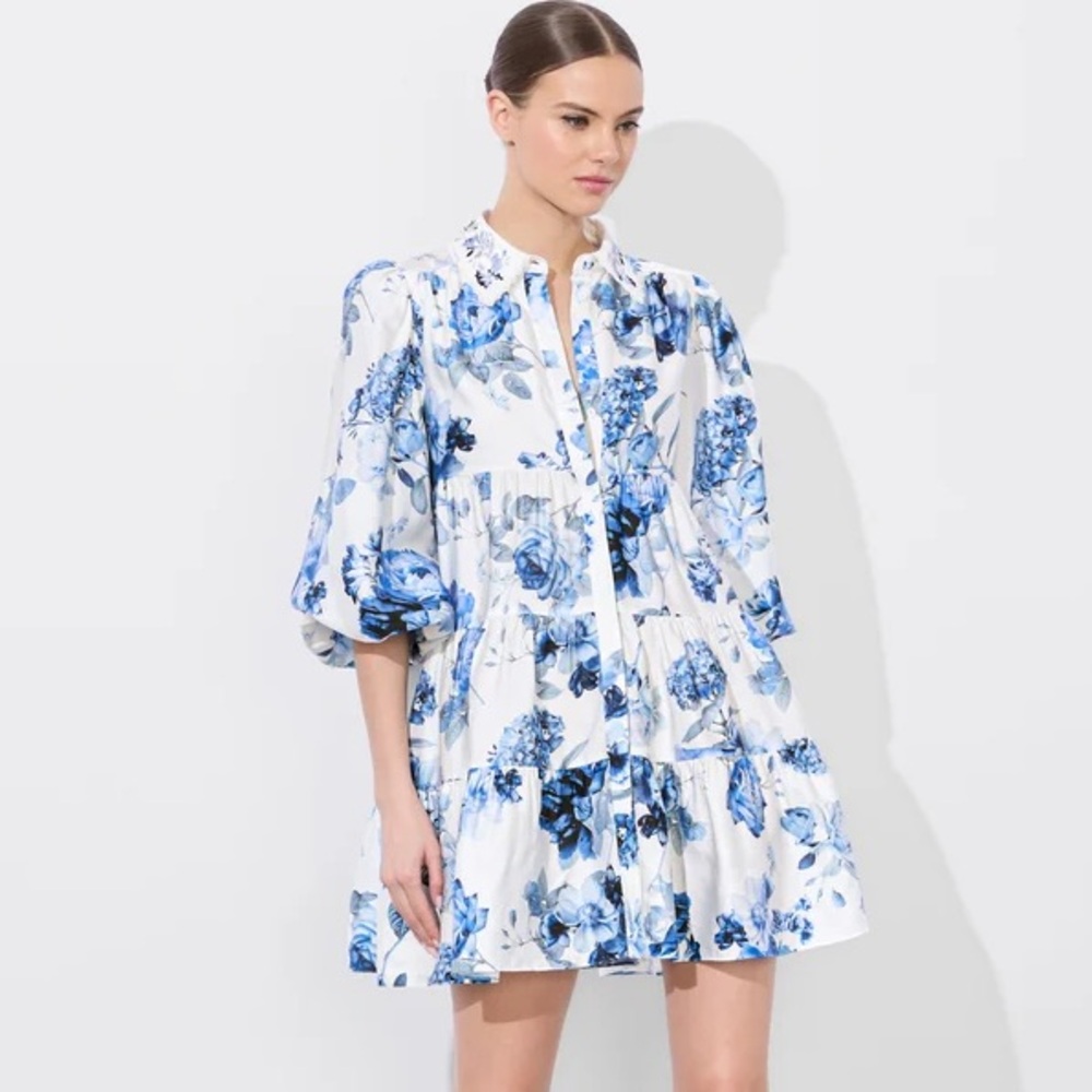 Alice + Olivia Junia Floral Blue and White Mini Dress